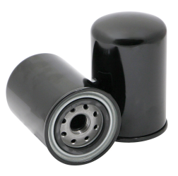 Fuel Filter, cpl